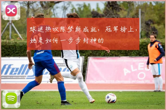 球迷热议陈梦新成就,冠军榜上,她是如何一步步封神的